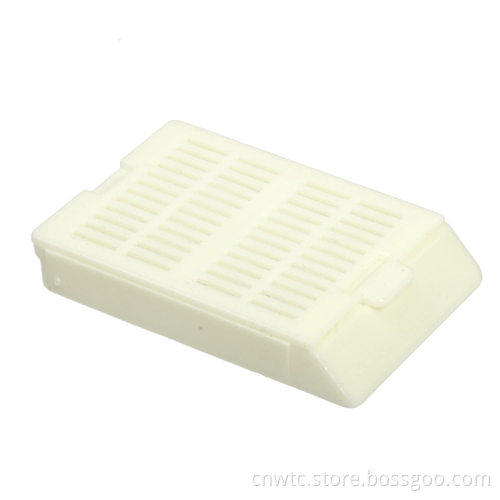 High-Quality Laboratory Disposables: Premium Process Plastic Tissue Embedding Cassette for Histology Applications
